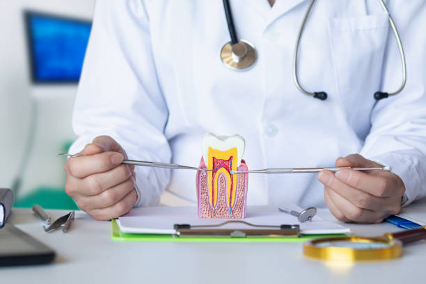 Best Emergency Root Canal Treatment in Winter Springs, FL
